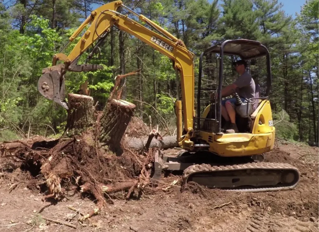 Forest land clearing