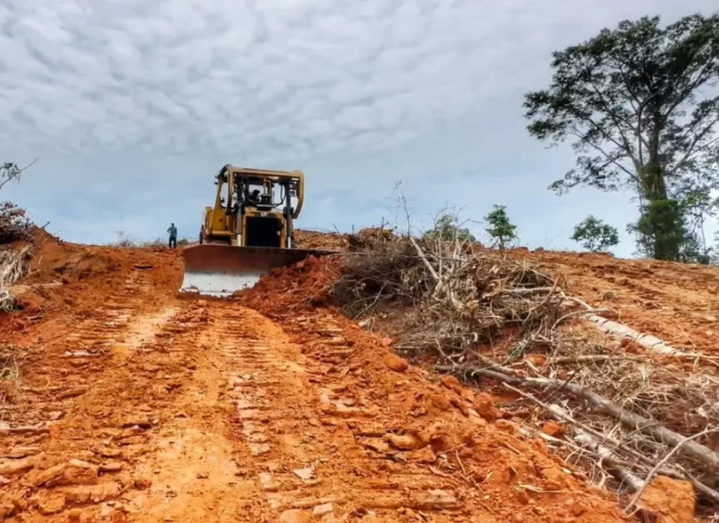 Bulldozer clearing site